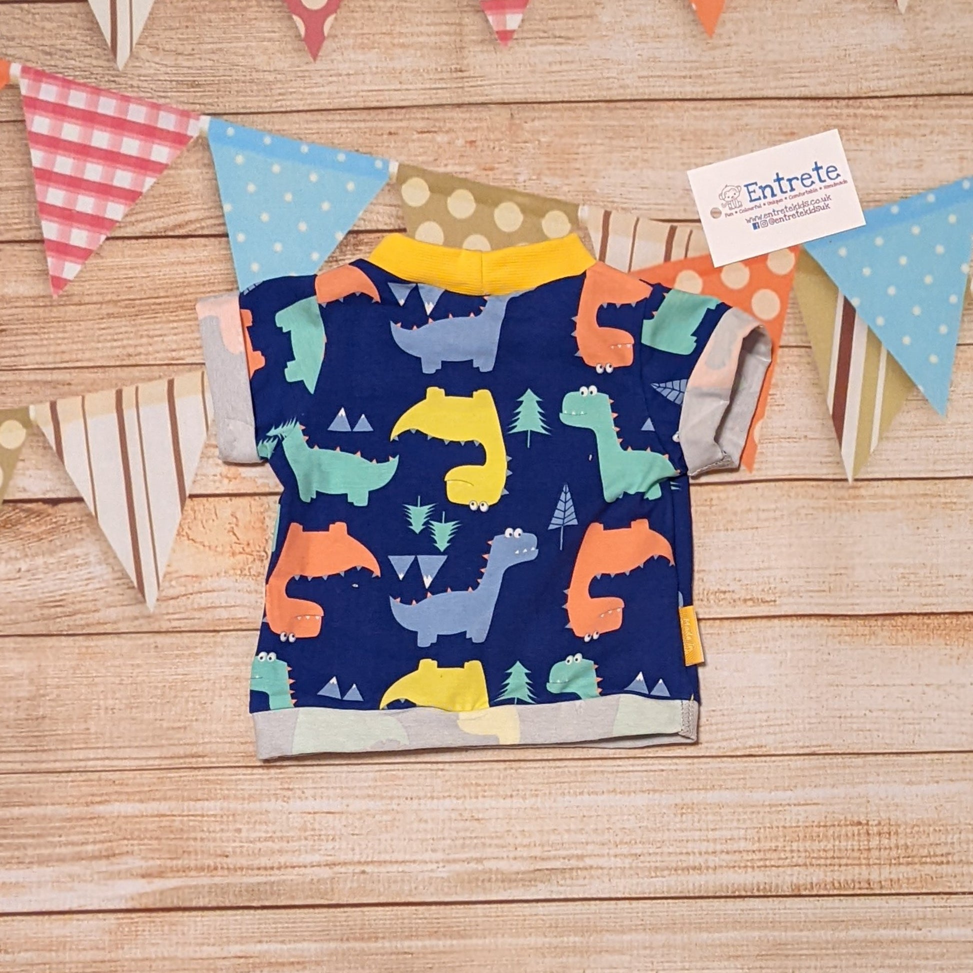 Colourful and fun blue dinosaurs short sleeved T-Shirt, shown from the rear. Handmade using blue dinosaurs cotton jersey and yellow cotton ribbing.